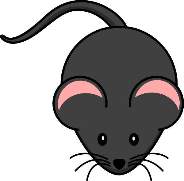 Rat clipart cute