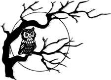 Owl Symbol ***