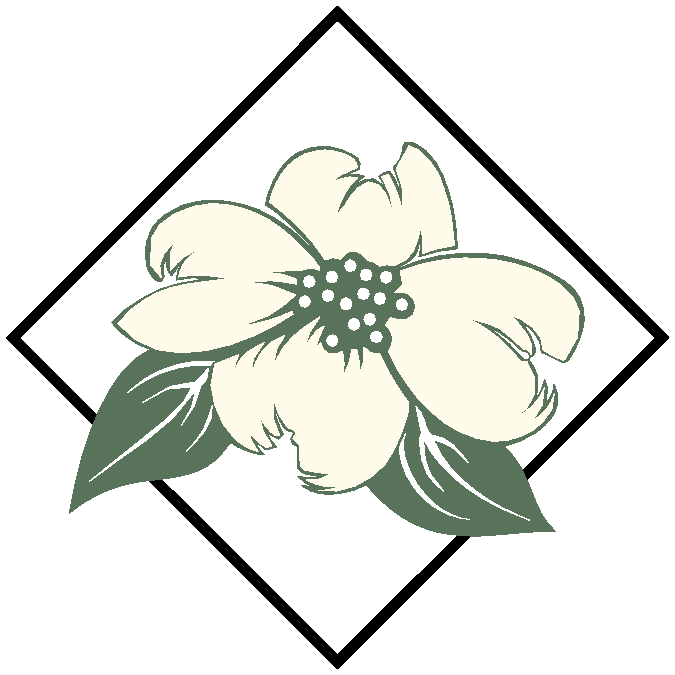 clip art dogwood flower - photo #21