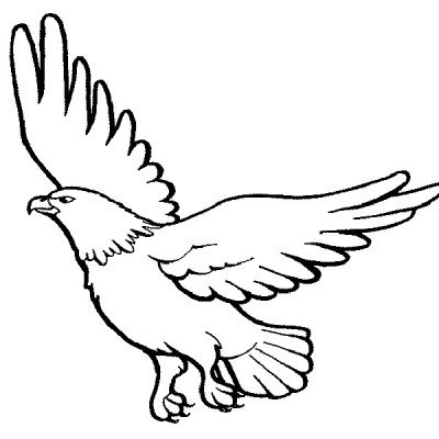 Coloring Pages for Kids. Learn to Color BIRDS / How to Draw ...