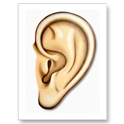 Cartoon Ear Cartoon Ears Clip Art Human Ear Clip Art Cartoon Ear ...