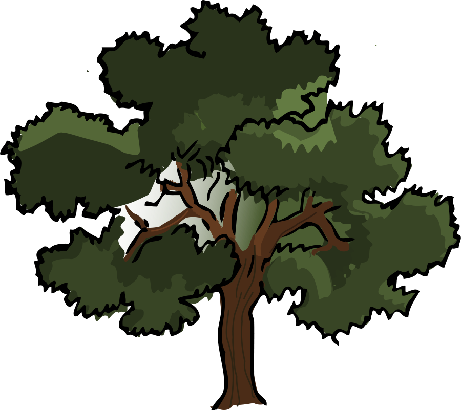 Oak Tree Clipart - Tumundografico