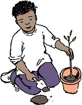 Boy planting clipart