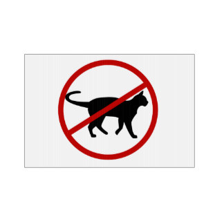 No Cats Yard & Lawn Signs | Zazzle