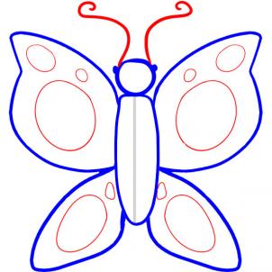 Animals - How to Draw a Butterfly For Kids