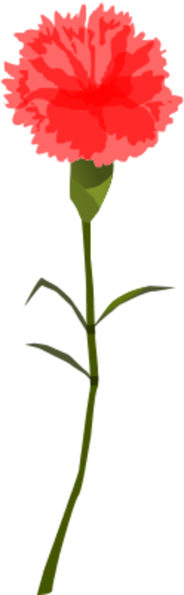 Cravo Carnation - vector Clip Art - ClipArt Best - ClipArt Best