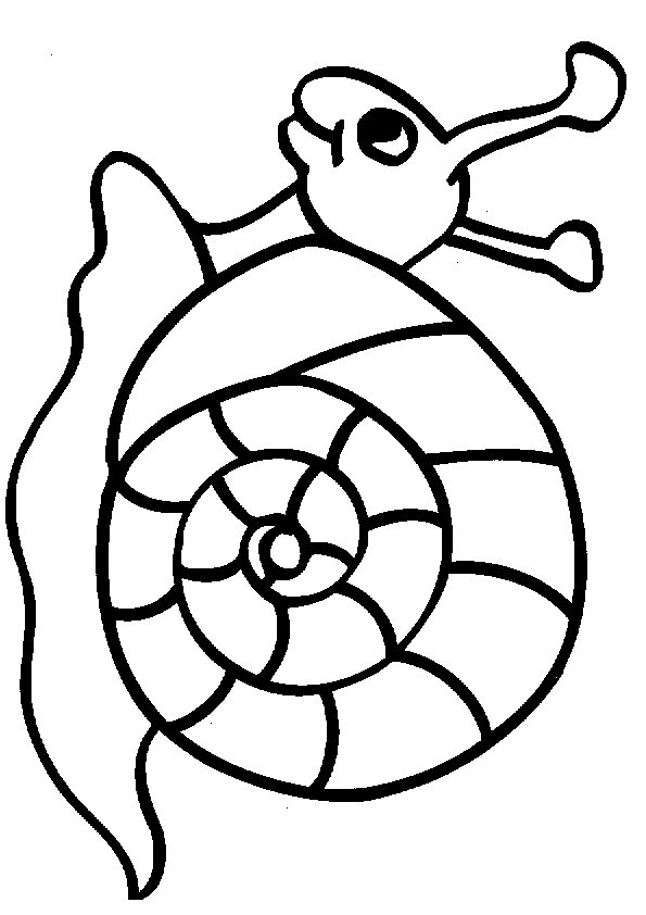 Kids-n-fun.com | 20 coloring pages of Snails