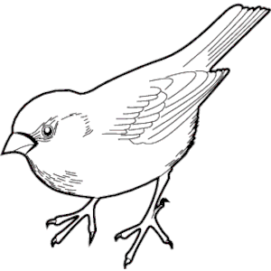 Sparrow 06 clipart, cliparts of Sparrow 06 free download (wmf, eps ...