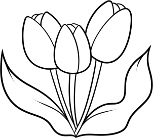 How to Draw Spring Tulips