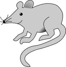 Rat Clip Art - Tumundografico