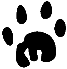 Lion Paw Print Clip Art Constellation Aviation Consulting