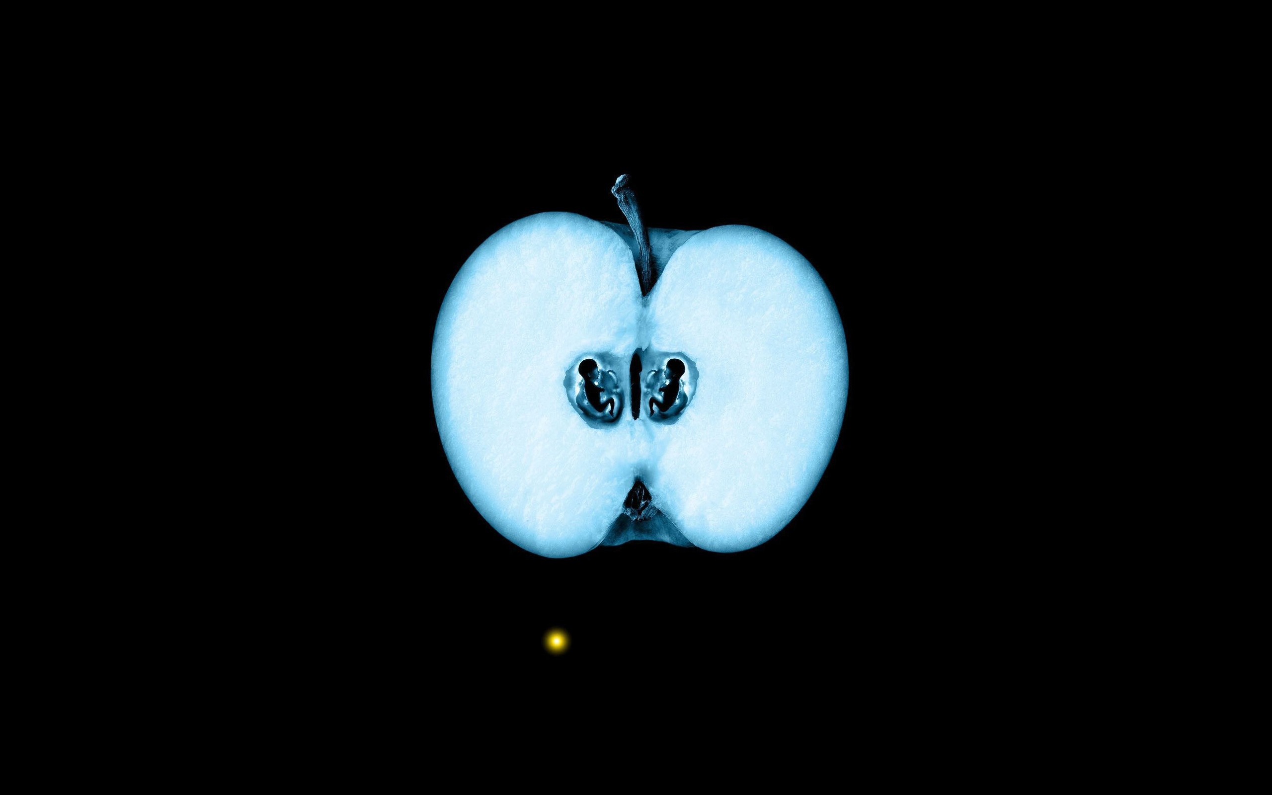 Wallpapers Butterfly Fringe Human Embryo In Apple Symbol Hd Best ...