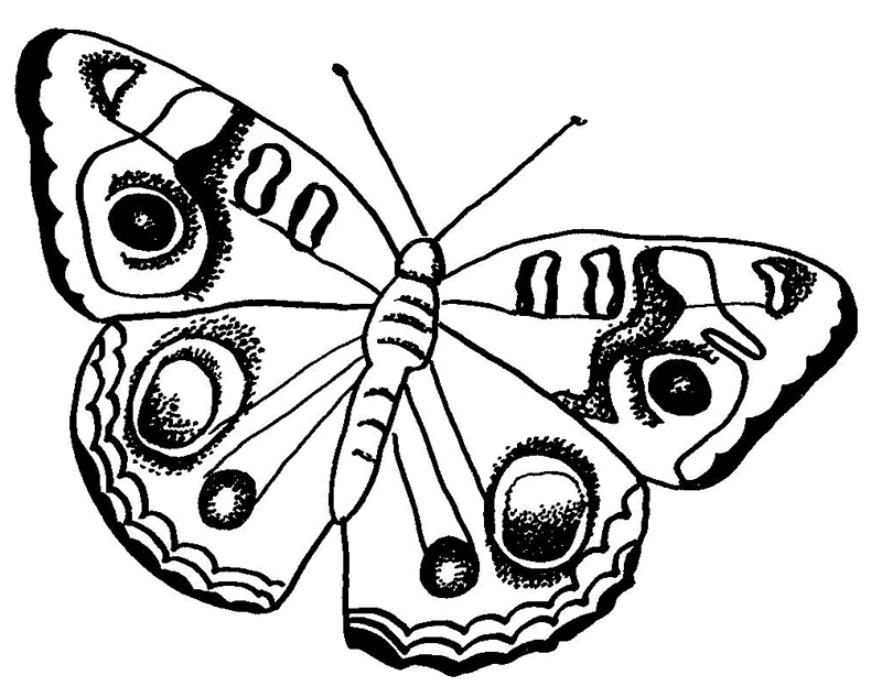 Butterfly In The Flower - Butterfly Coloring Pages : Coloring ...