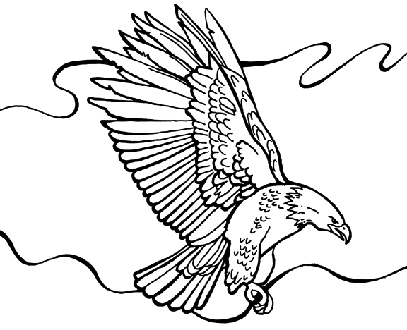 Bald Eagle Coloring Page For Kids Of