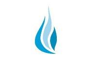 Picture: logo.jpg provided by Blue Flame Consulting, Inc ...