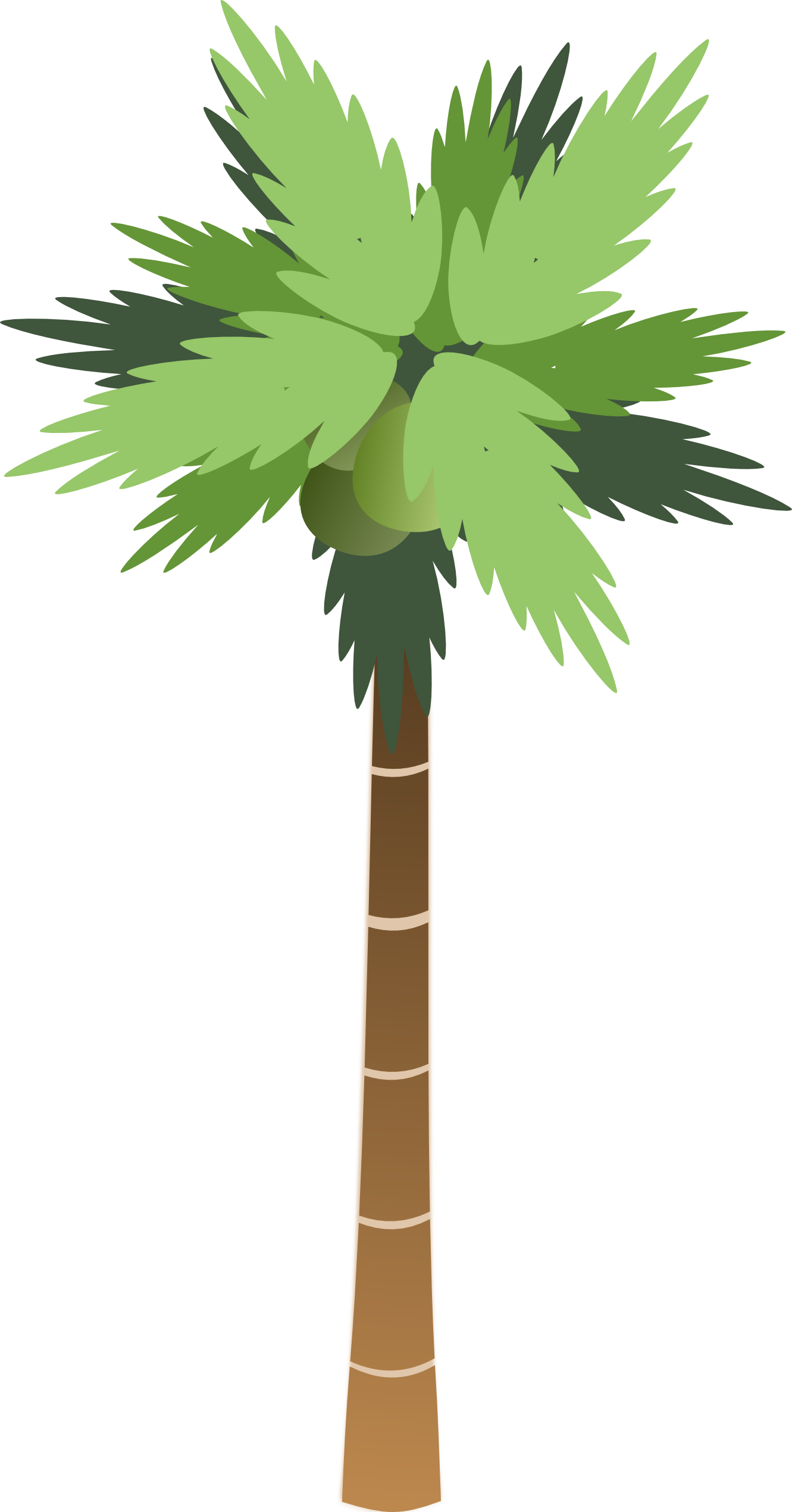 clip art christmas palm tree - photo #33