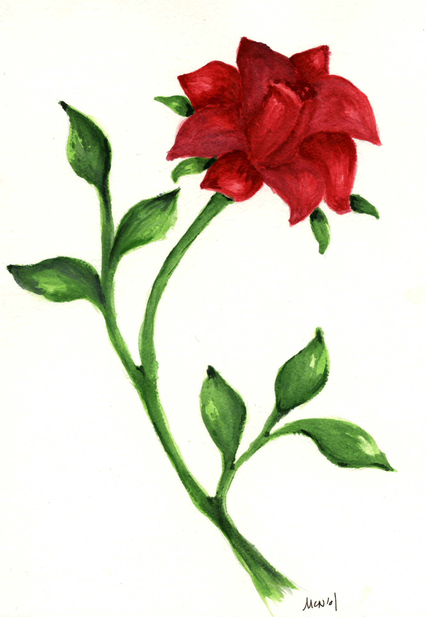 Single Red Rose Drawing - ClipArt Best