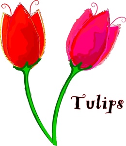 Tulips Clipart Image - Red And Pink Watercolor Style Tulip Flowers