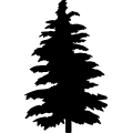Cedar Tree Clip Art