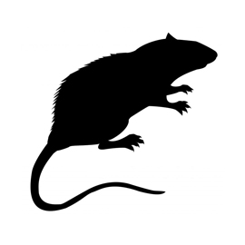 Rat Silhouette Stencil | Free Stencil Gallery