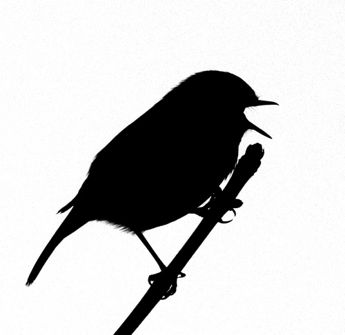 A Silhouette Of A Bird Singing - ClipArt Best