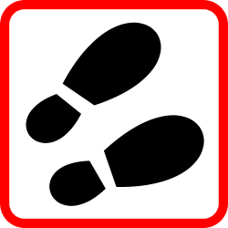 Shoe Footprint