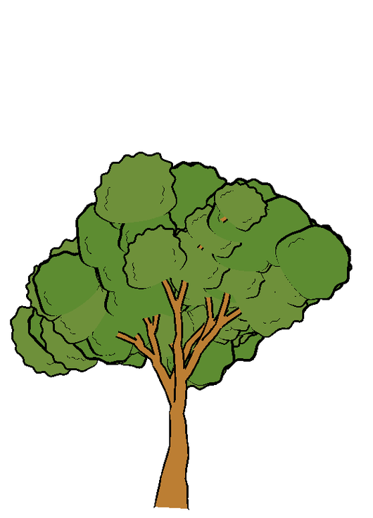 Cartoon Trees Images Clipart - Free to use Clip Art Resource