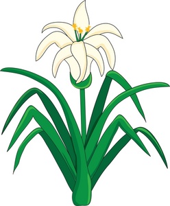 Clipart easter lily flower