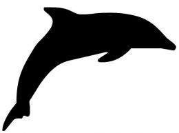 Dolphin Black And White Clipart