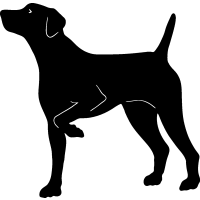 Sport Dogs Dog Breeds Vector Art Vector Graphics DXF Clip Art for ...