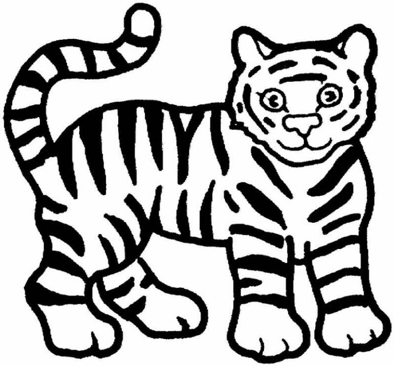 tiger clip art black and white - photo #29