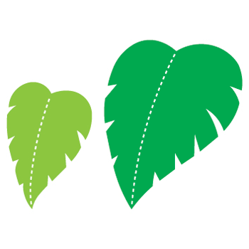 Jungle Leaf Outline - ClipArt Best