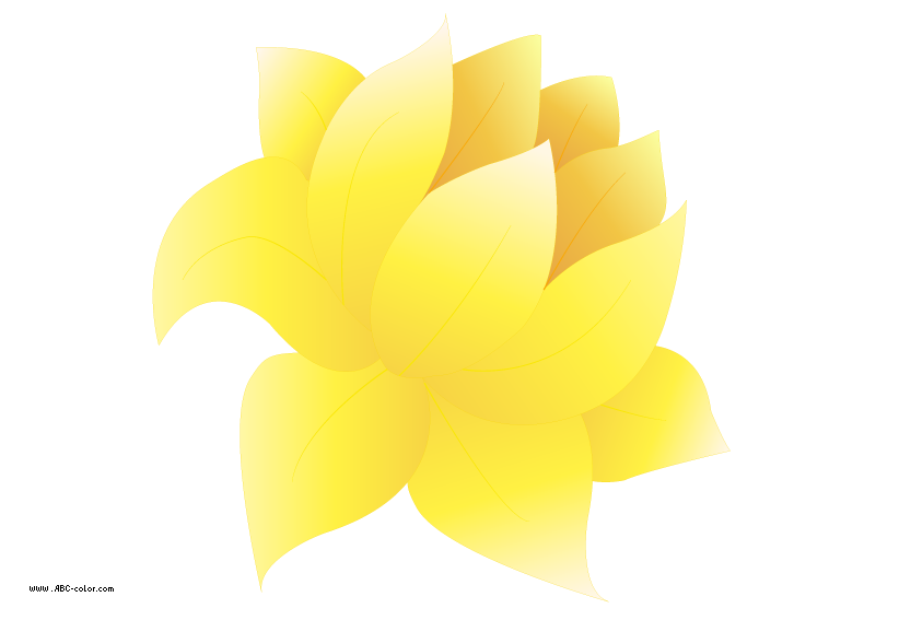 clipart water lily - photo #34