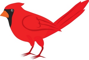 Red cardinal bird clip art