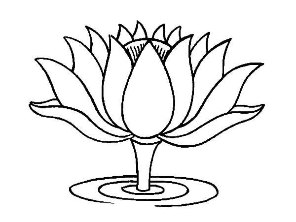 Lotus Flower Coloring Page. flower mandala coloring pages ...