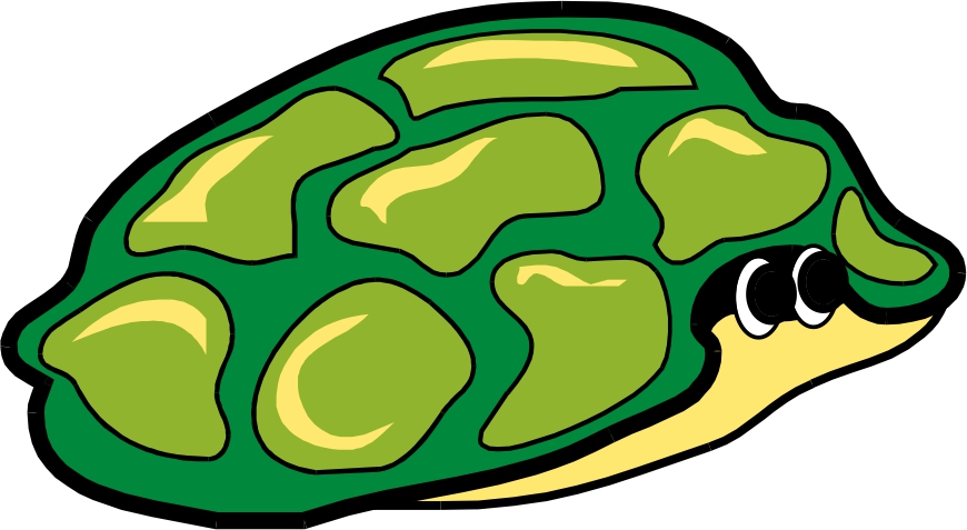 Turtle shell clipart