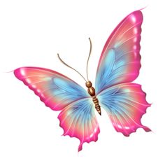 457 views Pink And Blue Butterfly Pictures - ClipArt Best