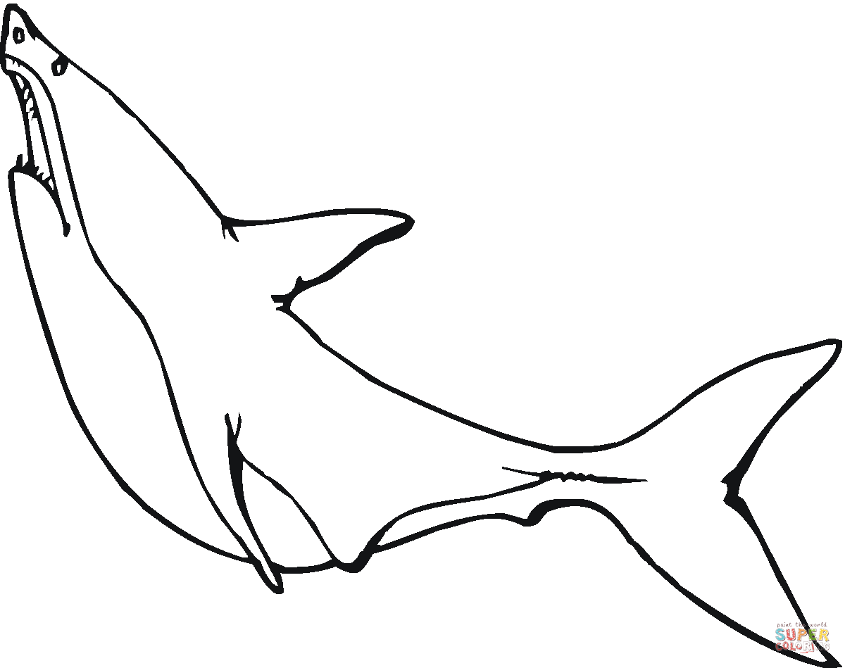 Great white shark coloring pages | Free Coloring Pages