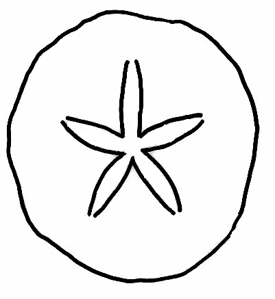Gallery For > Sand Dollar Coloring Page