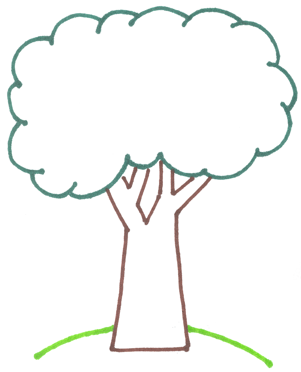 clipart tree outline - photo #9