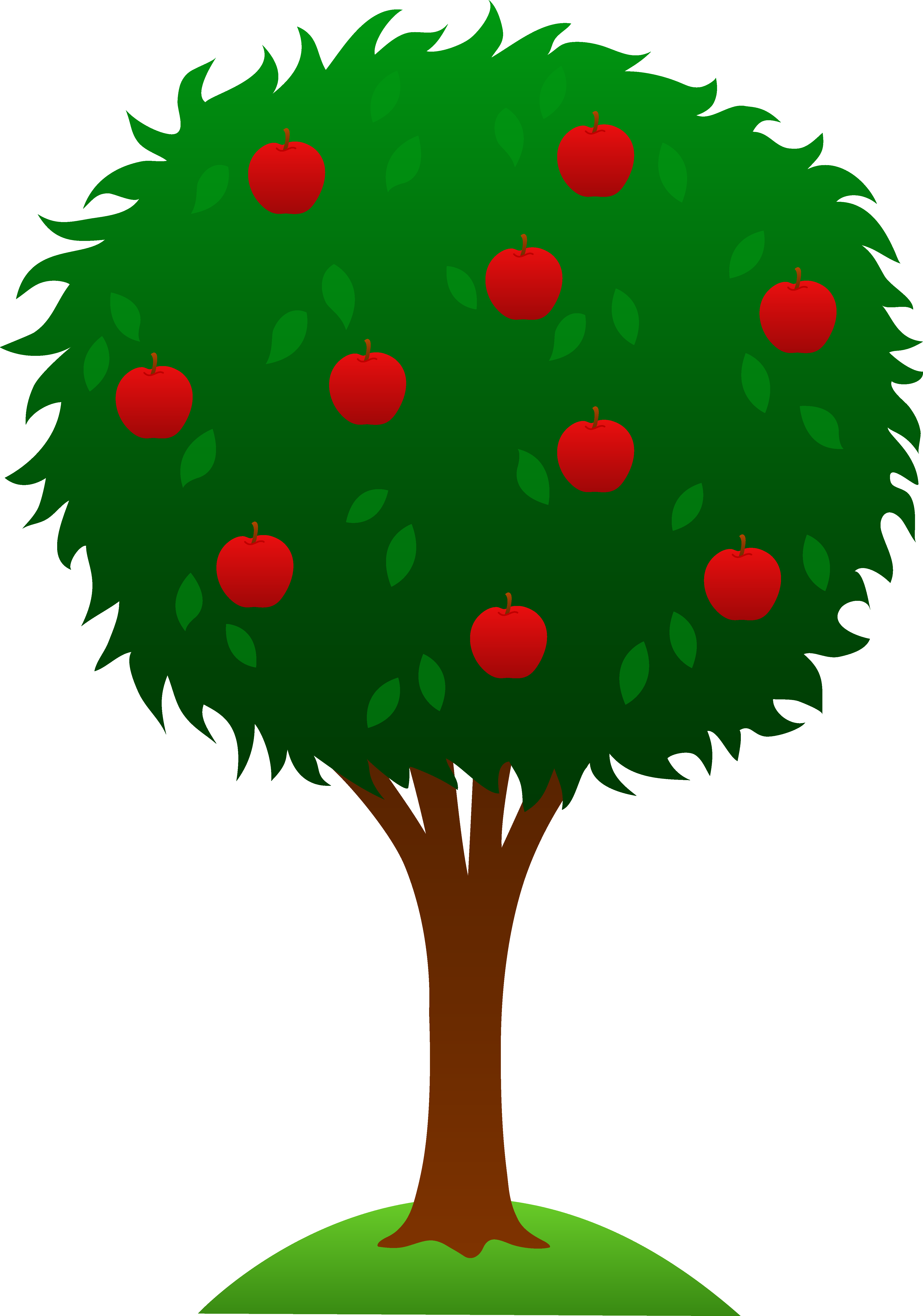 Apple Tree Illustration - Free Clipart Images