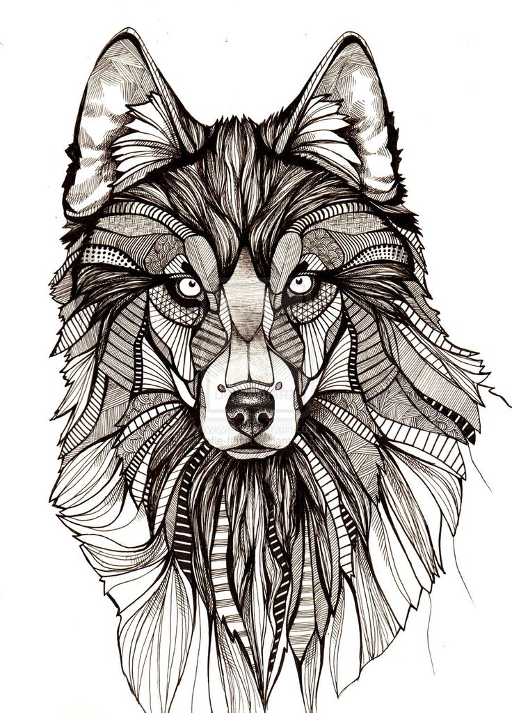 Wolf Illustration | Joe Madureira ...