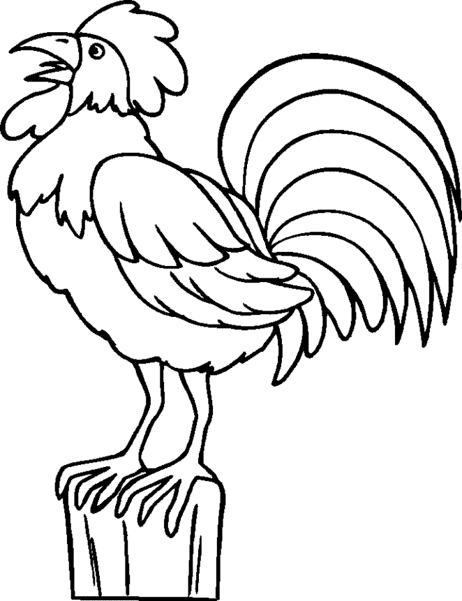 Drawings Of Roosters