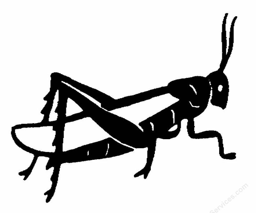 Grasshopper Cartoon Images | Free Download Clip Art | Free Clip ...