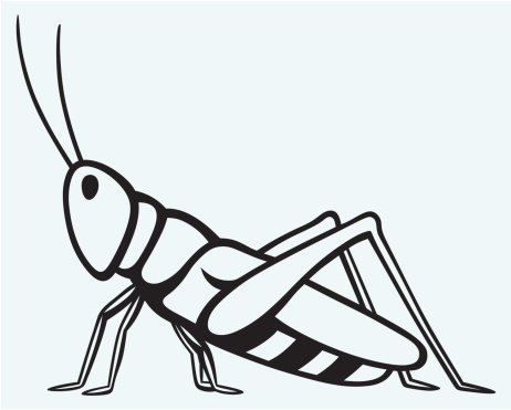 Grasshopper Clip Art, Vector Images & Illustrations