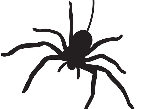 7 Best Images of Printable Halloween Templates Spider - Halloween ...