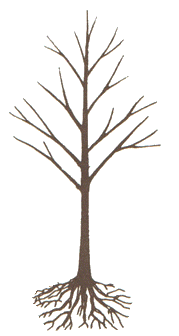 Bare Tree with Roots Clip Art – Clipart Free Download