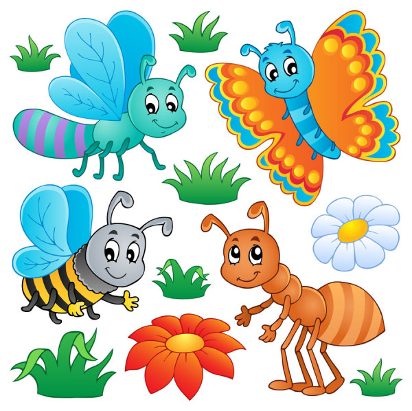 Insects Cartoon