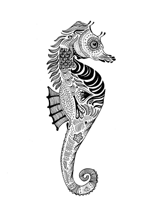 1000+ images about Zentangle Seahorses