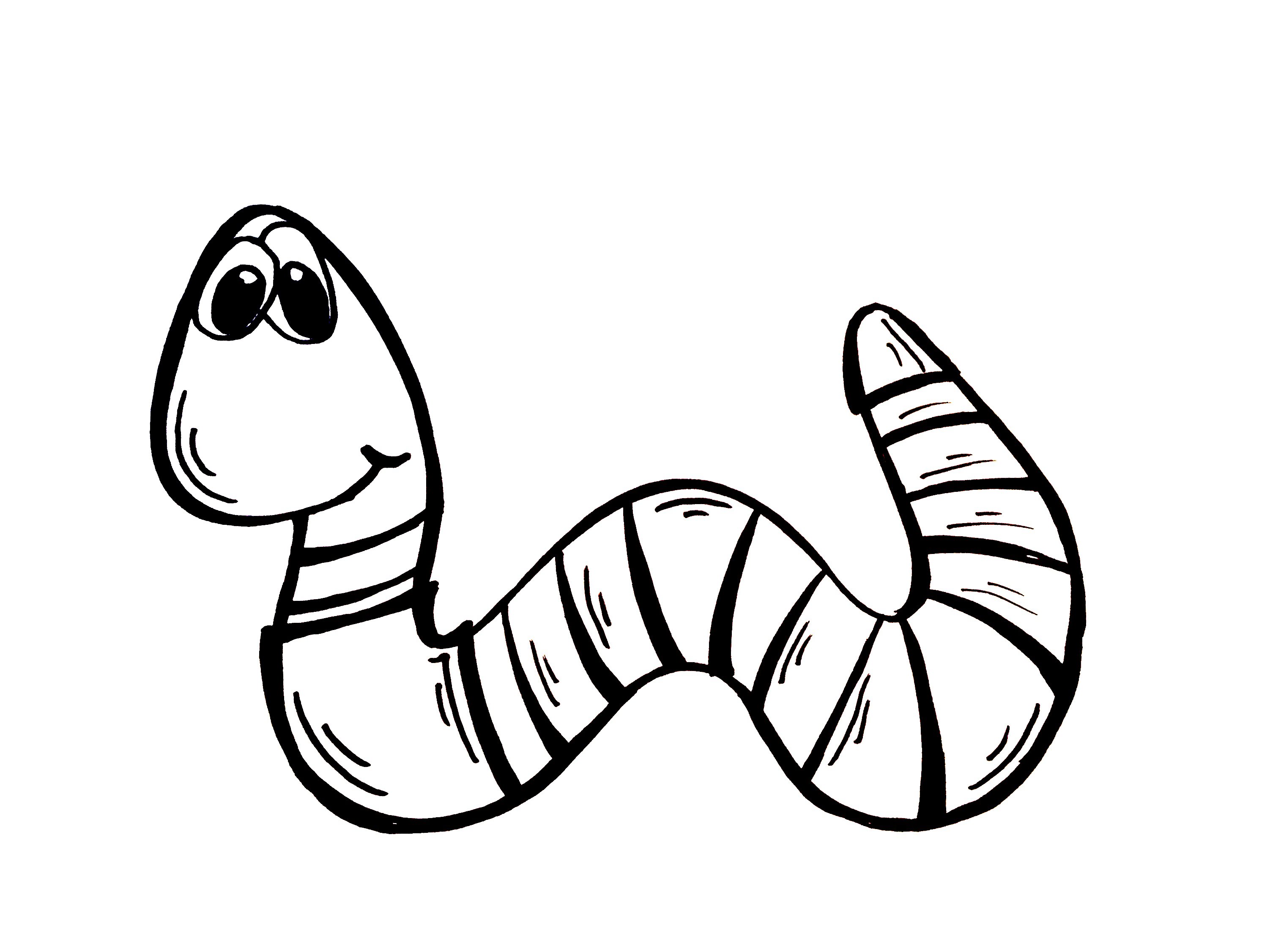 Drawing Lesson: How to Draw a Worm - YouTube